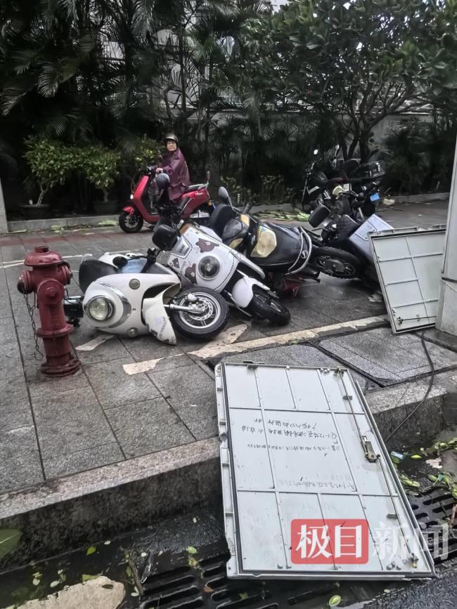 直击台风“蝴蝶”登陆时的三亚：树被吹断 风雨肆虐现场