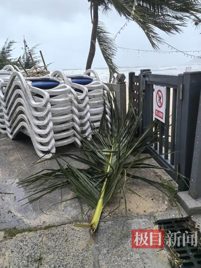 直击台风“蝴蝶”登陆时的三亚：树被吹断 风雨肆虐现场