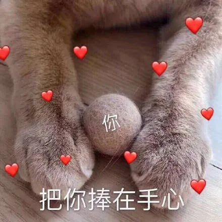 E句话 | 彭于晏方否认与蔡依林恋情
