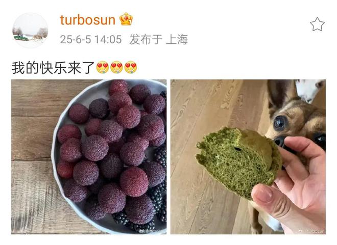 被传移民英国孙俪发文了，网友说她是现实版的胡曼黎