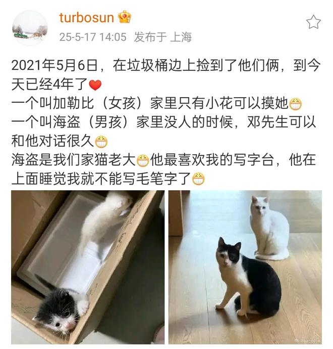 被传移民英国孙俪发文了，网友说她是现实版的胡曼黎