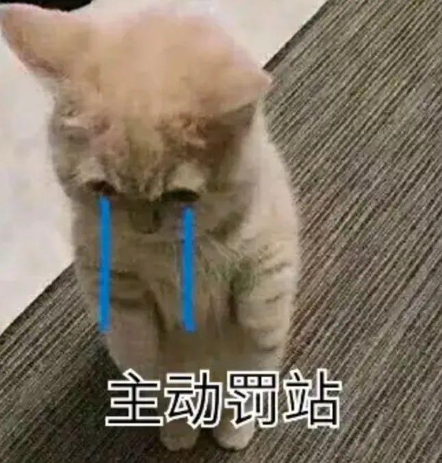 E句话|价值13999元labubu盲盒是谁在拍？