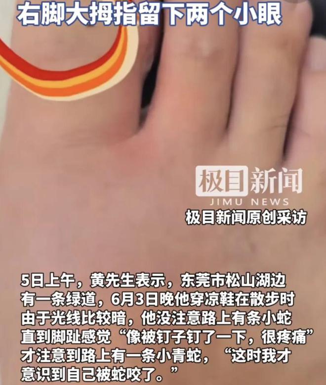 E句话|价值13999元labubu盲盒是谁在拍？