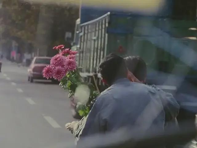 她是劳拉·穆尔维，她的十佳电影