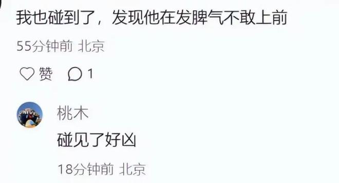又要上法院？一场“私生活”闹剧，戳穿了74岁张纪中的真实处境