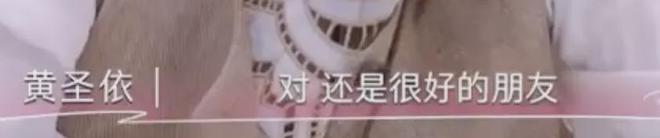 黄圣依自曝：贾乃亮，爱过！