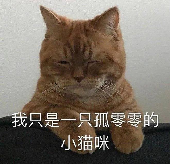 E句话|日薪500，你愿意去景区扮演野人吗？