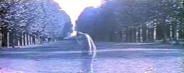特殊的一天，谈谈电影的死活问题