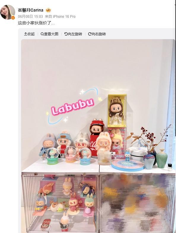 你家爱豆晒Labubu了吗？鹿晗收了隐藏款，刘亦菲林峯娇妻也有一堆