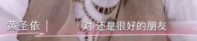 黄圣依自曝初恋是贾乃亮！20年前北电校园恋情曝光