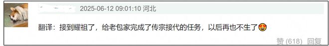 37岁包文婧封肚言论惹争议，物化女性追二胎男宝，生产时还过敏