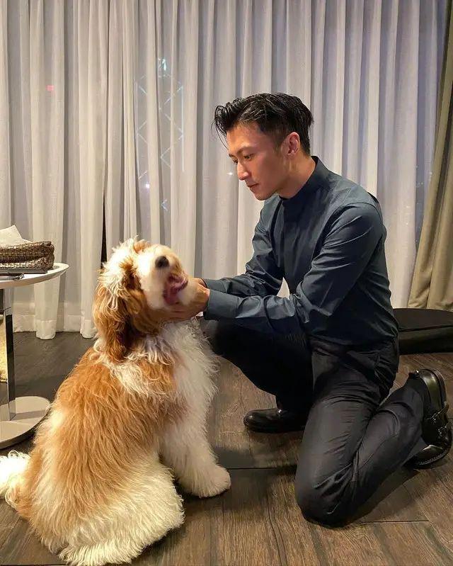 三代男神香港豪宅曝光，打工人彻底破防......