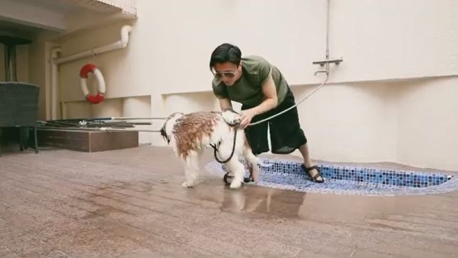 三代男神香港豪宅曝光，打工人彻底破防......