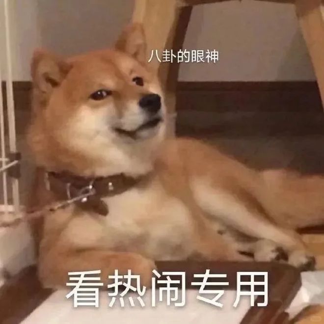 三代男神香港豪宅曝光，打工人彻底破防......