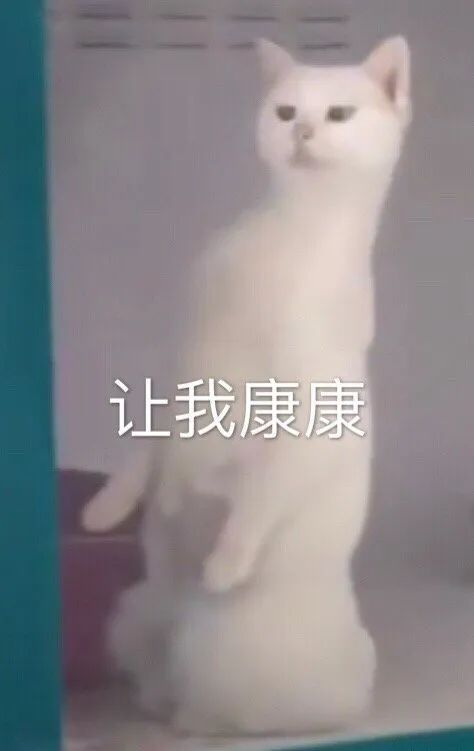 E句话|孔雪儿否认逛月老殿：我求的是财运！
