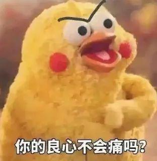 E句话|孔雪儿否认逛月老殿：我求的是财运！