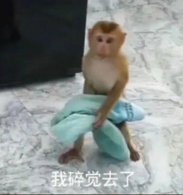 E句话 | 刘宇宁这么快就否认啦？