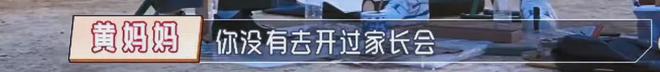 黄圣依妈妈反对女儿下嫁，因三点对杨子不满，二人离婚后差距拉开