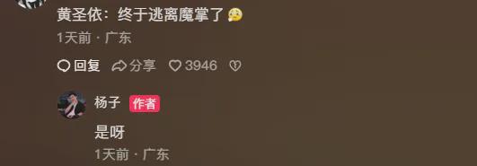 黄圣依妈妈反对女儿下嫁，因三点对杨子不满，二人离婚后差距拉开