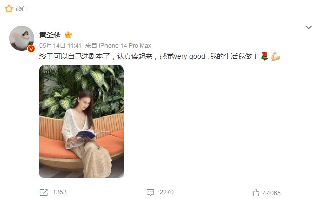 黄圣依妈妈反对女儿下嫁，因三点对杨子不满，二人离婚后差距拉开