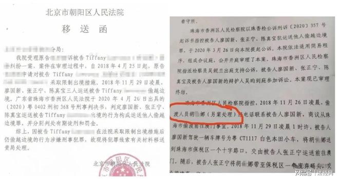“名嘴”张泽群与偷渡者Tiffany