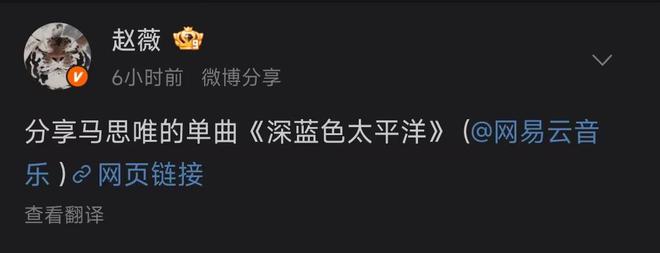 赵薇发布马思唯作品！