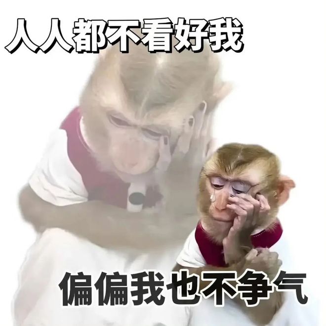 E句话 | 男爱豆找女优，反而觉得自己被做局？
