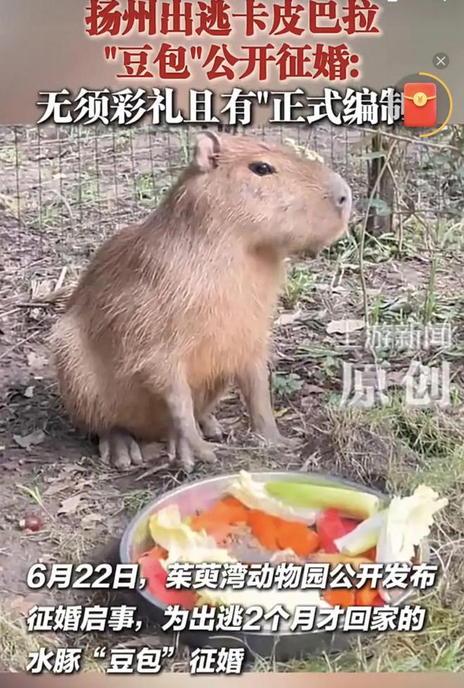 E句话 | 男爱豆找女优，反而觉得自己被做局？