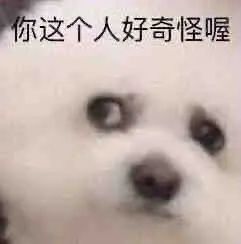 E句话|香港顶流坠海？