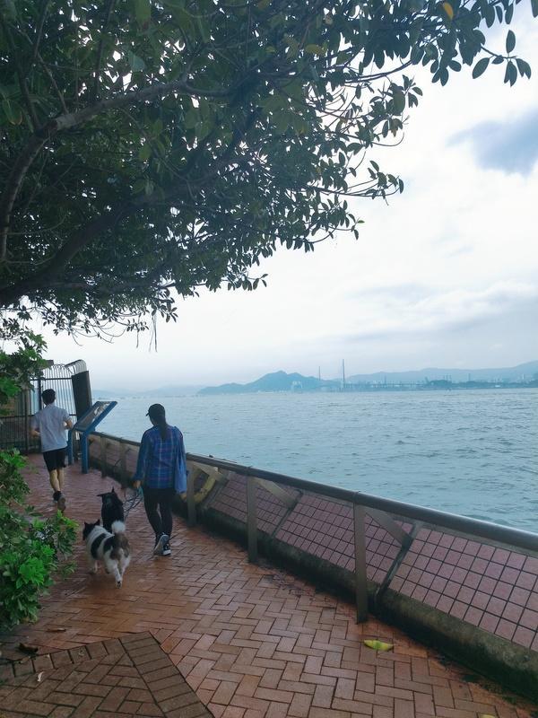 姜涛获救现场曝光！港媒曝他坠海前饮酒服药，本人曾自曝有抑郁症