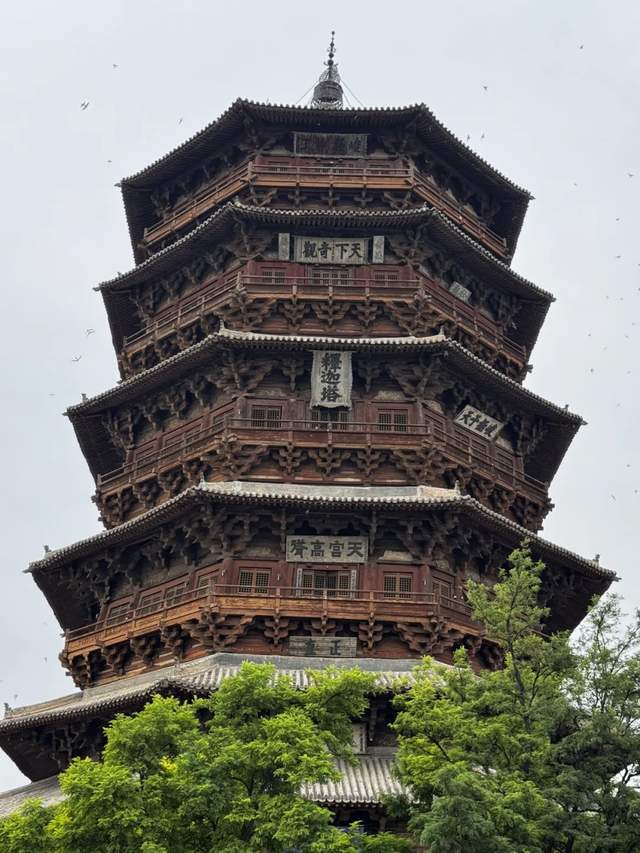 明星又搞特殊？韩雪打卡古建筑使用强光灯，董宇辉印小天也曾被骂
