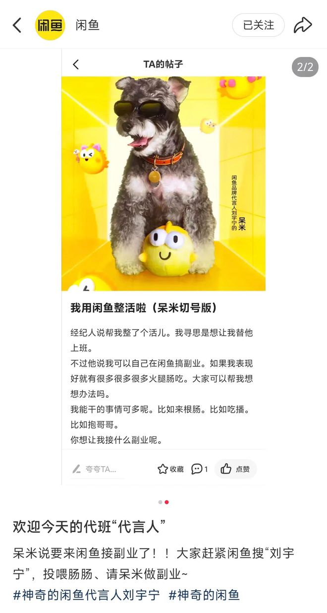 《书卷一梦》把穿书文挂闲鱼卖了："顶流"与“顶刘”的神奇缘分？