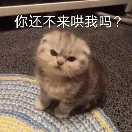 E句话|蔡澜助理辟谣：未曾胁迫陈宝莲拍片