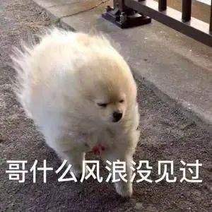 E句话|蔡澜助理辟谣：未曾胁迫陈宝莲拍片
