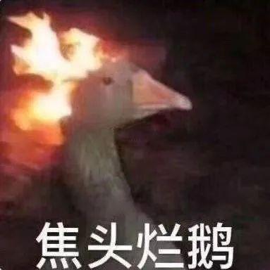 E句话|蔡澜助理辟谣：未曾胁迫陈宝莲拍片