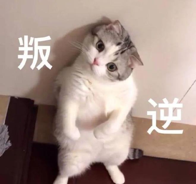 E句话|蔡澜助理辟谣：未曾胁迫陈宝莲拍片
