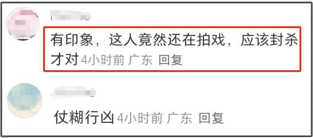 《以法之名》演技倒数的女星，大闹海关、履历造假，还能混圈？