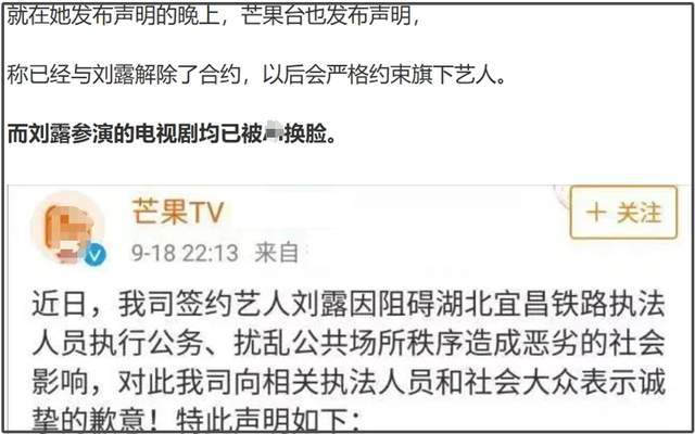 《以法之名》演技倒数的女星，大闹海关、履历造假，还能混圈？
