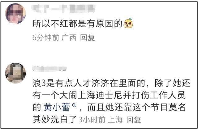 《以法之名》演技倒数的女星，大闹海关、履历造假，还能混圈？