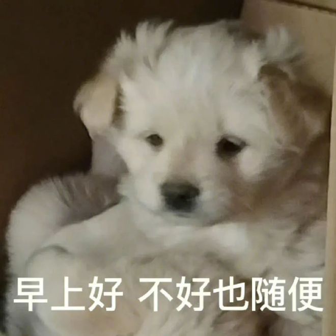 E句话 | 恋综没成的CP，offer成了？