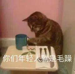 E句话 | 恋综没成的CP，offer成了？