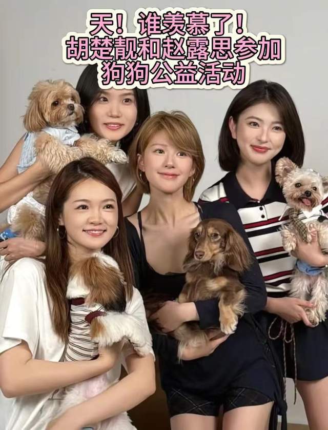 赵露思近况曝光处境尴尬，无戏可拍倒退做网红，被曝解约复出失败