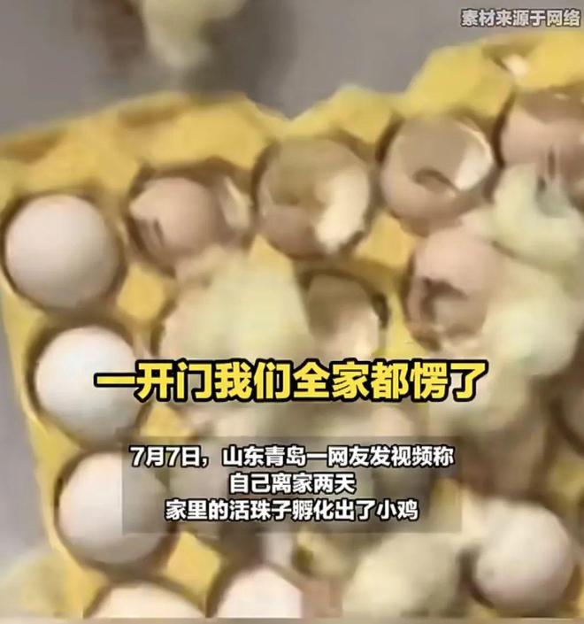 E句话|相比体面老去，这位还想发挥余力追爱