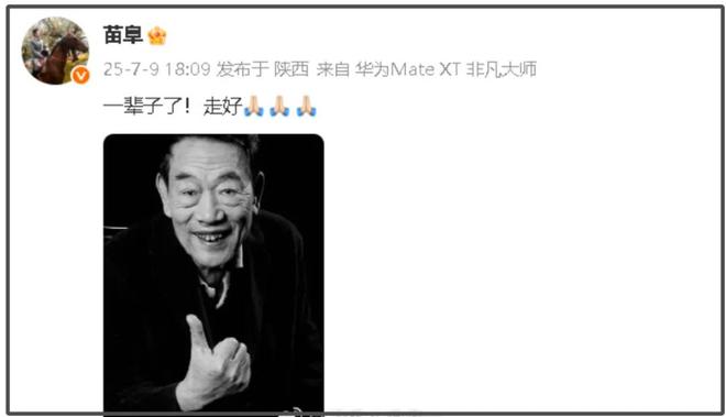 94岁杨少华高温天气被推去剪彩，下午就去世了，家属评论区沦陷
