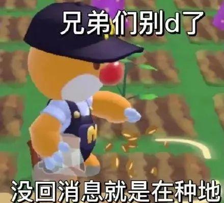 E句话|当年的《还珠格格》，柳红片酬比五阿哥高？