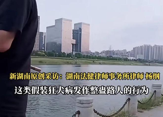 E句话|当年的《还珠格格》，柳红片酬比五阿哥高？