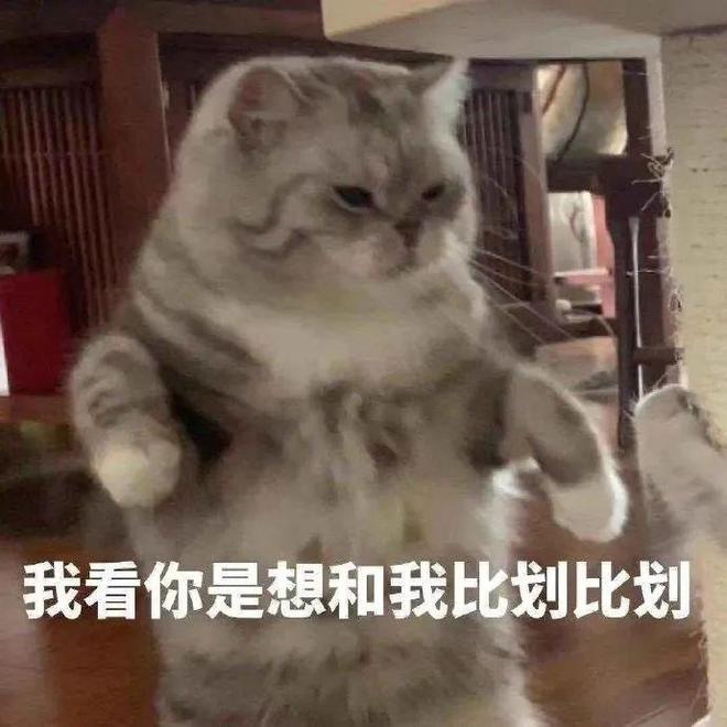 E句话|当年的《还珠格格》，柳红片酬比五阿哥高？