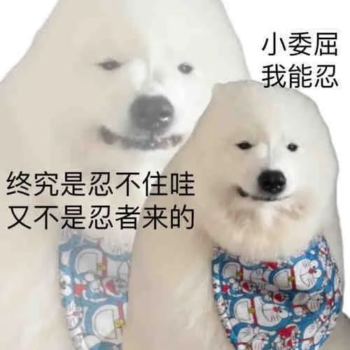 E句话|贾静雯看权志龙演唱会被粉丝围攻了？