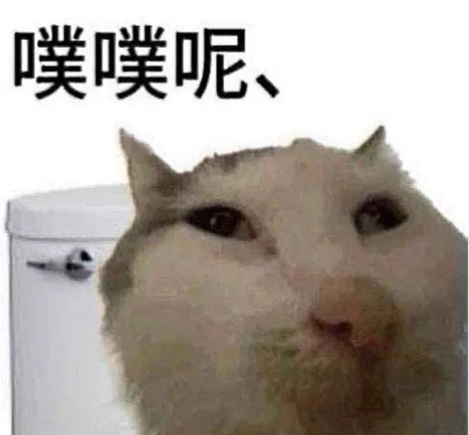 E句话|贾静雯看权志龙演唱会被粉丝围攻了？
