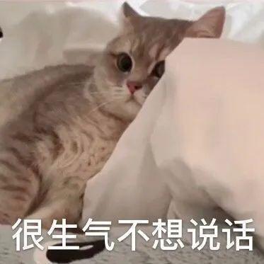 E句话|贾静雯看权志龙演唱会被粉丝围攻了？